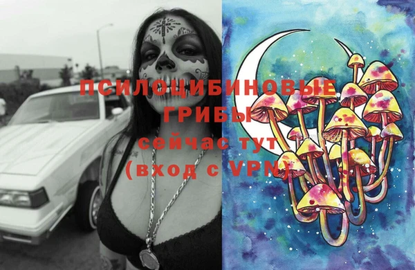 a pvp Алексин