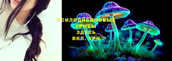 прущие грибы Алексеевка
