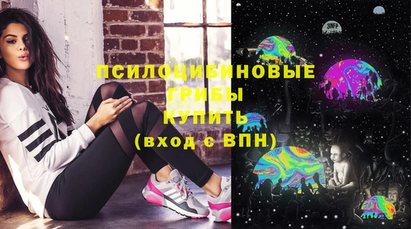 прущие грибы Алексеевка