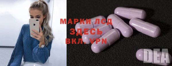 прущие грибы Алексеевка