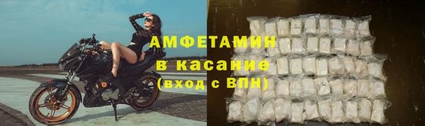 прущие грибы Алексеевка