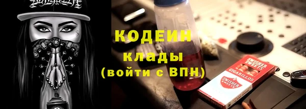 молекула духа Алзамай
