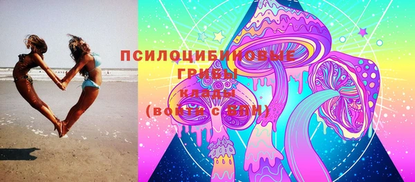 молекула духа Алзамай