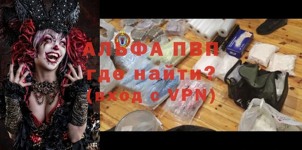 СК Новозыбков