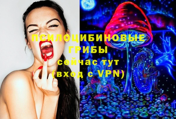 молекула духа Алзамай