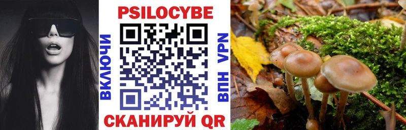 купить  цена  Славск  Галлюциногенные грибы мухоморы 